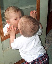 220px-Mirror_baby