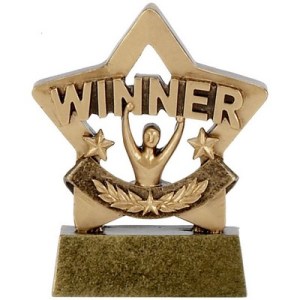 4136_winner-mini-stars-trophy