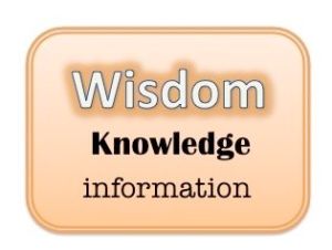 info-wisdom-